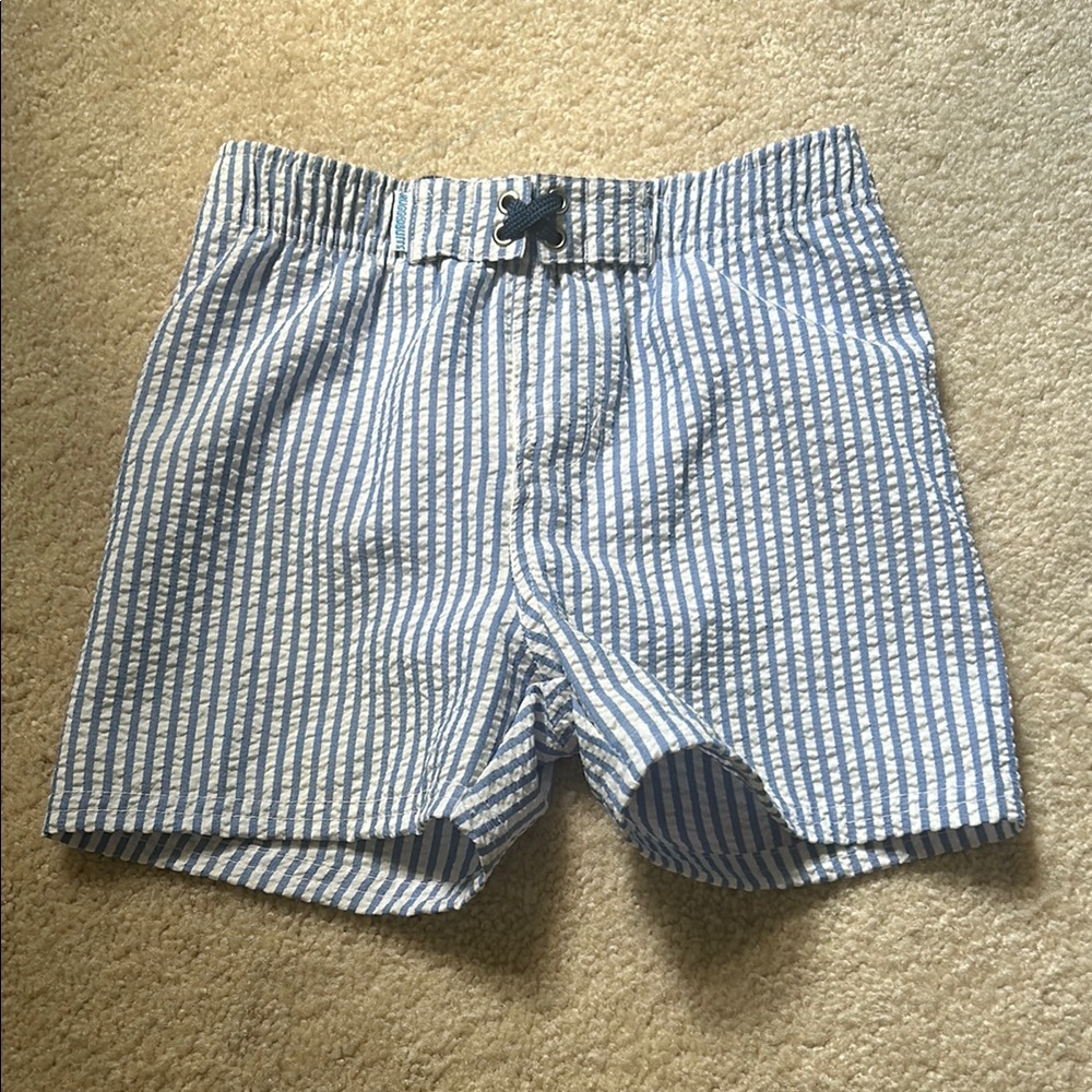 Blue and White Striped Swim Shorts